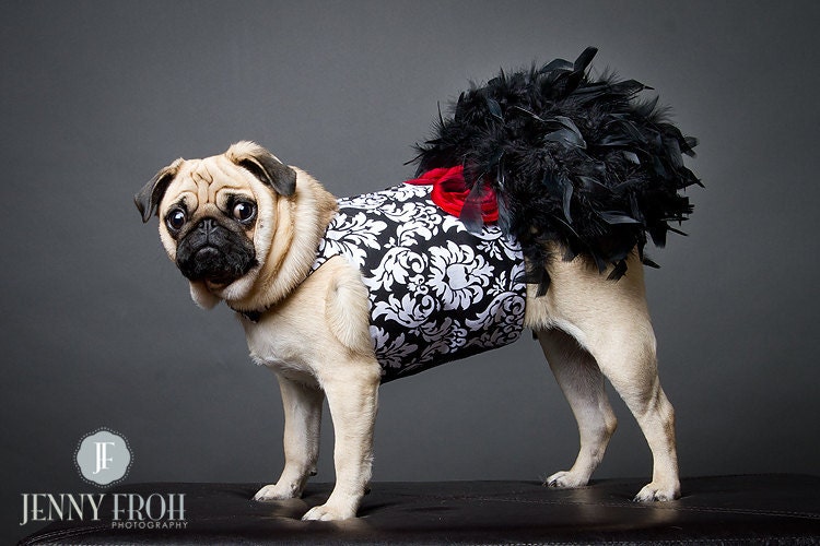 Black Damask Feather Harness Dog Dress