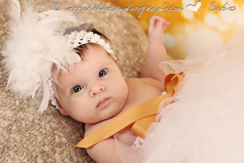 Posh Baby Girl Angel Tulle Tutu Dress for Professional Photography 