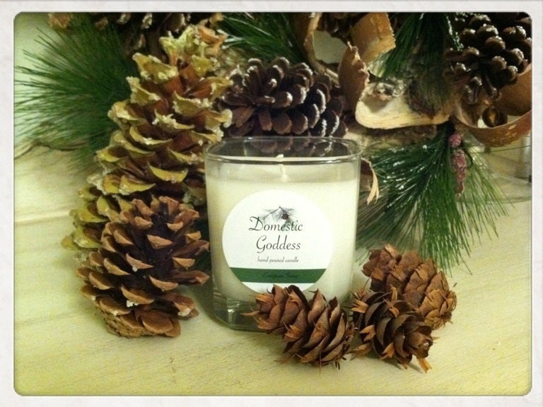 Evergreen Swag Hand Poured Candle (limited edition), 8 oz.
