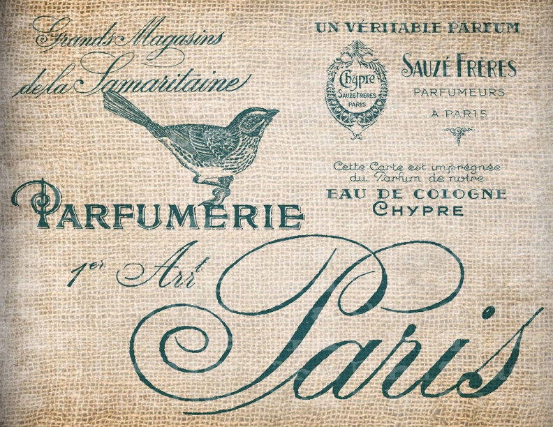Antique AQUA French Perfume Labels Paris France Bird Digital Download for 