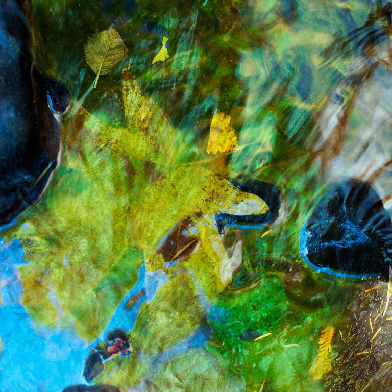 WATERLEAF ABSTRACT NO.3