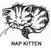 napkitten