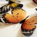 clearcutcrafts2007