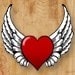 TheUntamedHeart