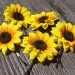 Flauxers