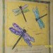 KnitSkyDragonfly