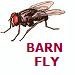 BarnFly