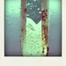 mmgo