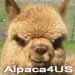 Alpaca4US