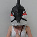 splendidwrendesign