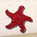 YourStarfishFriend