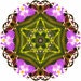 amrakcreations