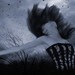 Corinne Gribble