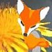 ZorraArdor