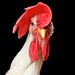 CynicalChicken