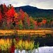OctoberFireDesigns