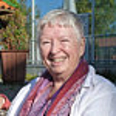 Ann Carroll