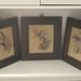 Vintage 1940's Gould Hummingbird Prints Qty of 3 Framed