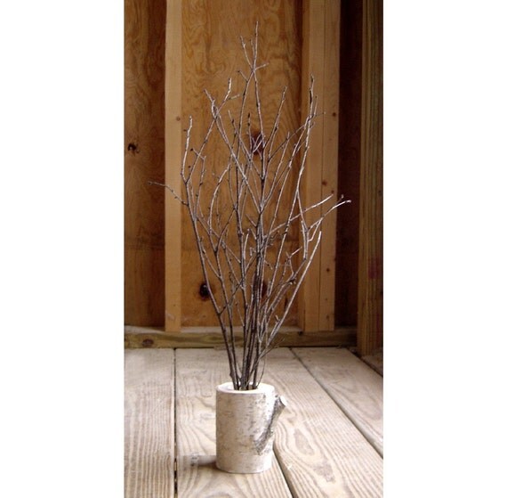 Items similar to SALE Natural White Birch Branches Center Piece on Etsy