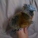 PET baby DRAGON hand puppet custom made to order in your colors