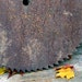 Giant Bucksaw Blade Rusty Chalkboard Vintage Beauty For Sculpture Or Assemblage