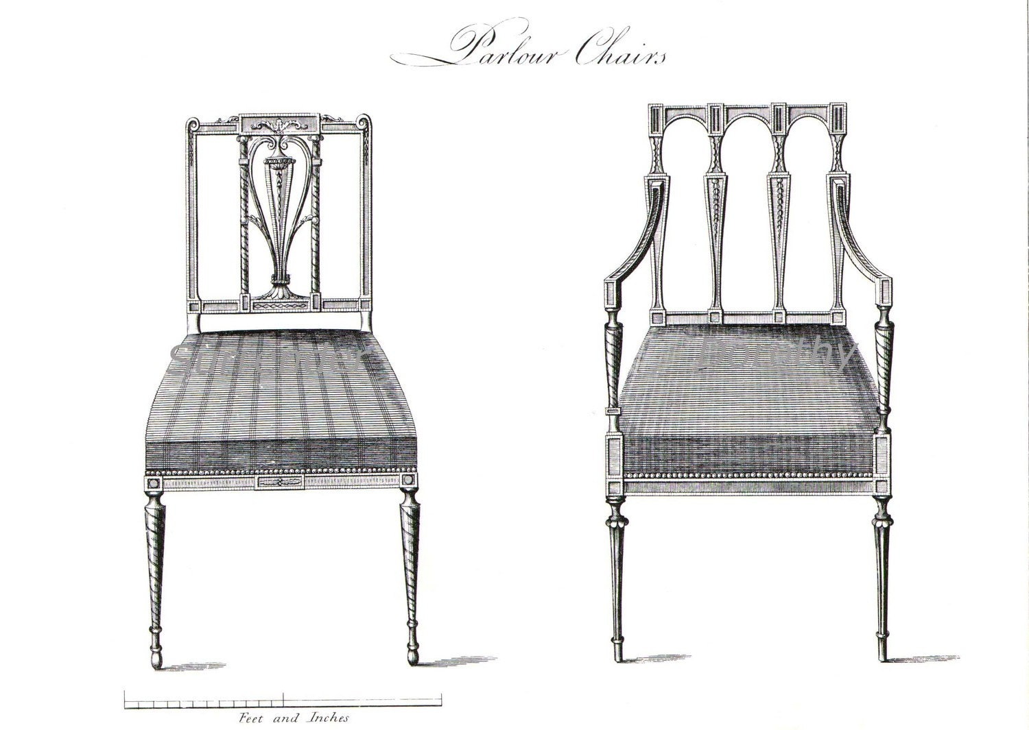 Parlour Chairs Thomas Sheraton Technical Drawing Vintage