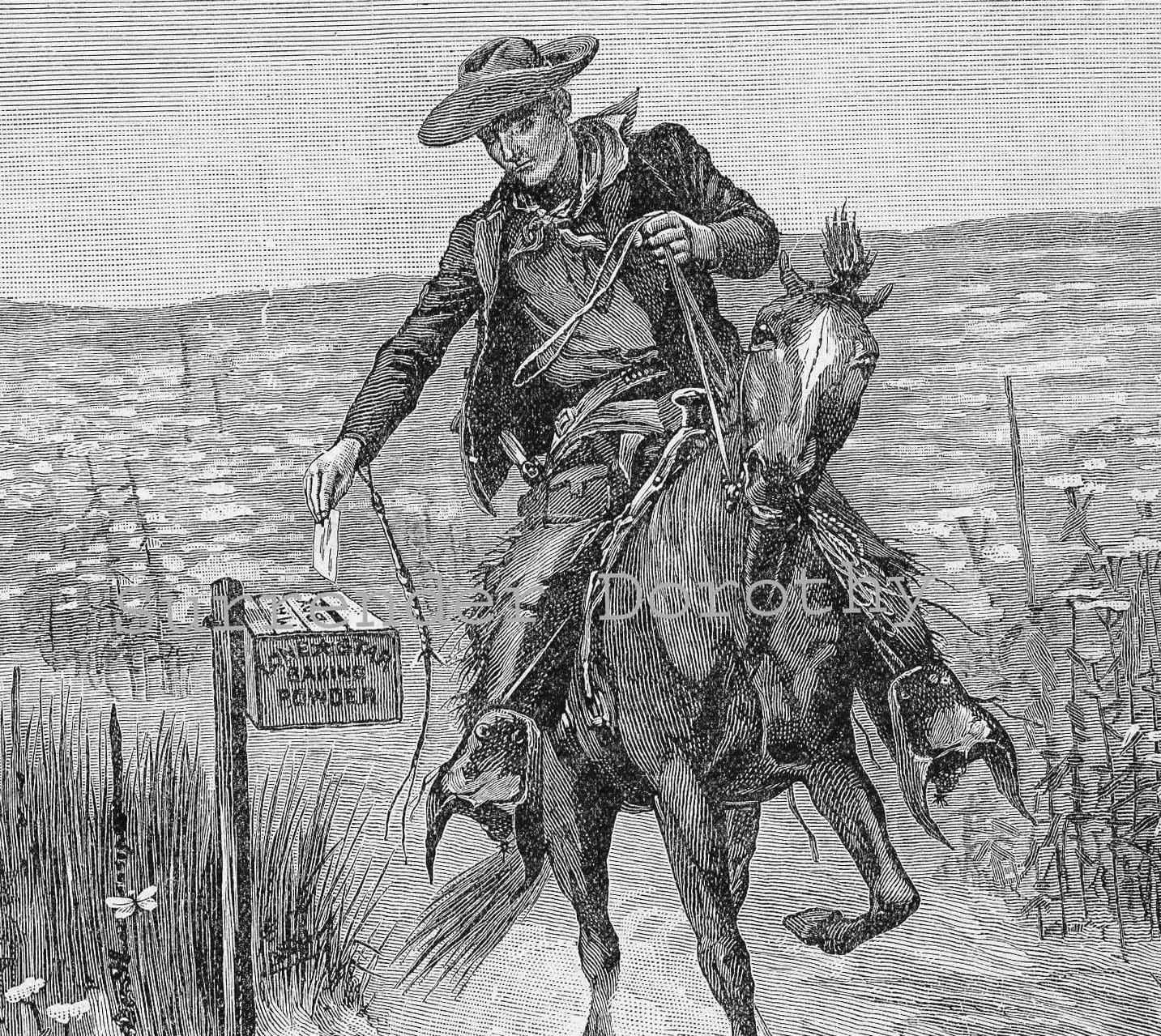 Pony Express Mailman On Horseback 1890 Vintage Victorian Print