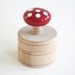 The Toadstool Trinket Box