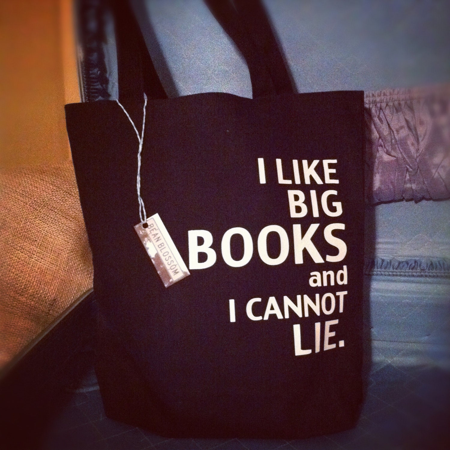 i-like-big-books-and-i-cannot-lie-canvas-tote-bag