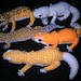 RESERVED FOR bijourubybandit_Leopard gecko amigurumi x 2