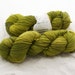 Sprout - Superwash merino wool nylon fingering weight yarn