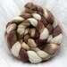 Ceylon - BFL Wool Silk Roving - 4.2 oz