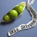 Imagine Whirled Peas Necklace