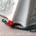 Desert Flower- Hammered Bar with Red Flower