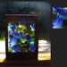 Suncatcher, Sun Catcher, Stained Glass, Beach Glass, Sea Glass, Freestanding