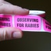 80 'Observing for Rabies' Warning Stickers, 1.5 inch