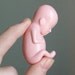 reserved for James, 40 creepy hard plastic fetuses, pink