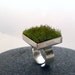 Gather, Square Moss Ring