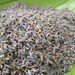 8oz - (Half Pound) Dried Lavender Buds from Provence