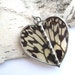 You make my heart flutter- Real Butterfly Wing Necklace, heart shaped RESERVED