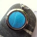 Real Butterfly Wing Necklace - reversible, vibrant blue morpho and green birdwing butterfly