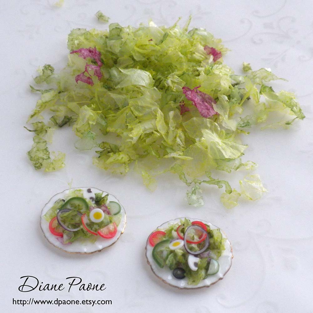 SALAD Spring Mix with Romaine Radicchio and Iceberg by dpaone