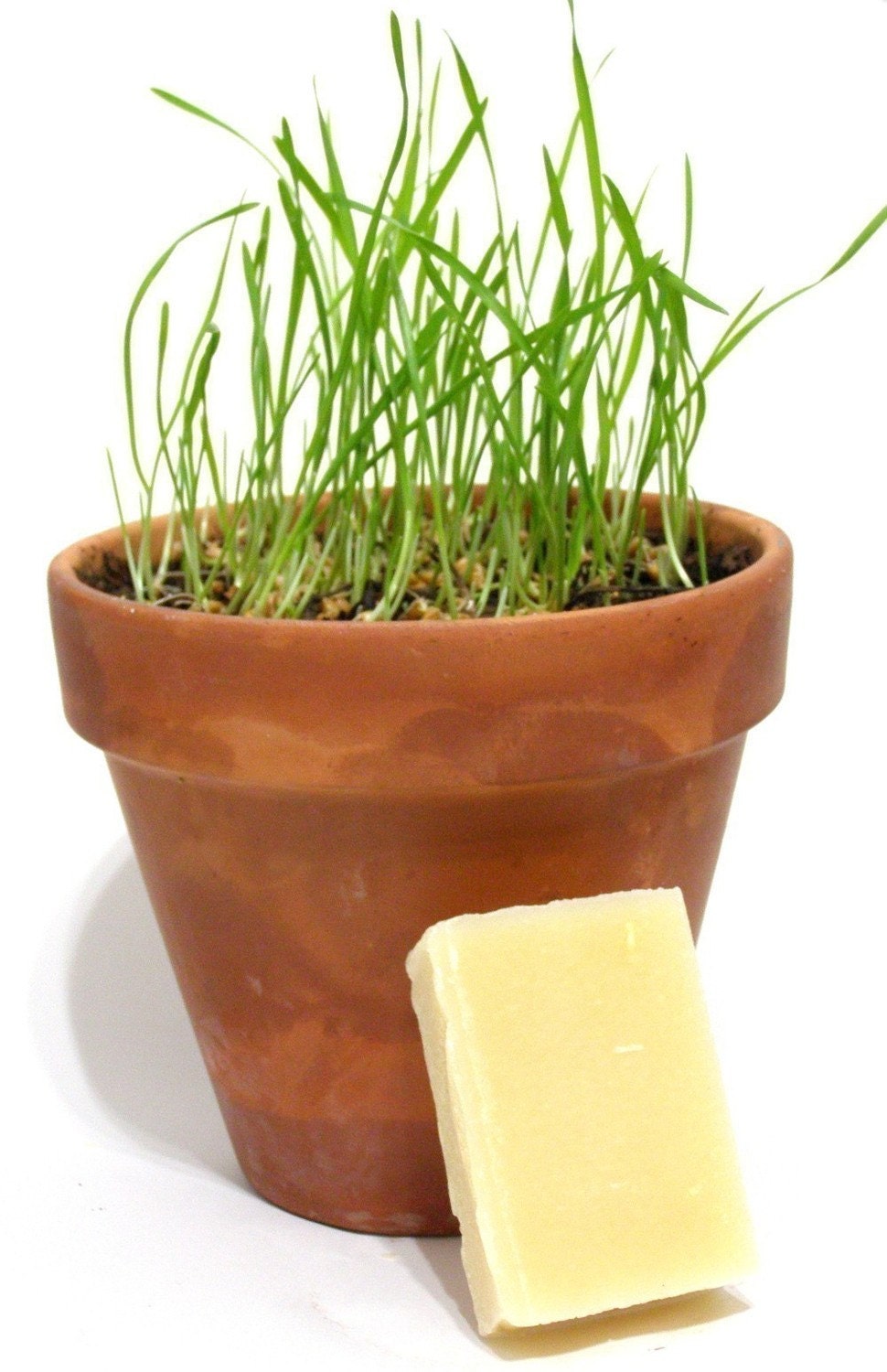 Fresh Grass Soap