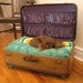 Suitcase Pet Bed with old stickers