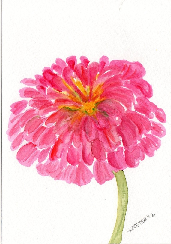 Pink Zinnia Painting Original watercolor floral watercolor