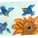 Chubby Bluebirds Painting Sunflower Original ACEO