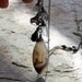 RESERVED- MULTI Gemstone Y necklace, Agate necklace, Smokey Quartz, Tourmalated Quartz, Moonstone, black Spinel