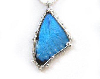 Butterfly Necklace - Smallest Blue Morpho Necklace - Real Insect Jewelry in Glass, Boho Style, Great Gift for a Nature Lover