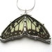 Black and White Butterfly Wings Necklace
