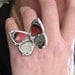 Real Butterfly Ring - The 88 Butterfly - Adjustable Size